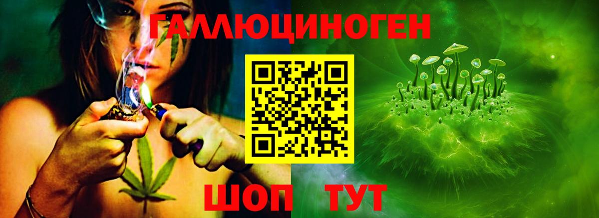 Галлюциногенные грибы MAGIC MUSHROOMS Новоалтайск